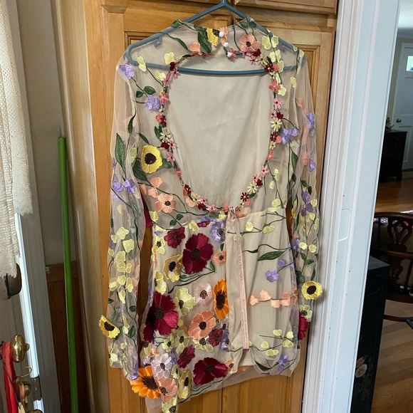 Floral Embroidered Sheer Dress - Picture 2 of 3